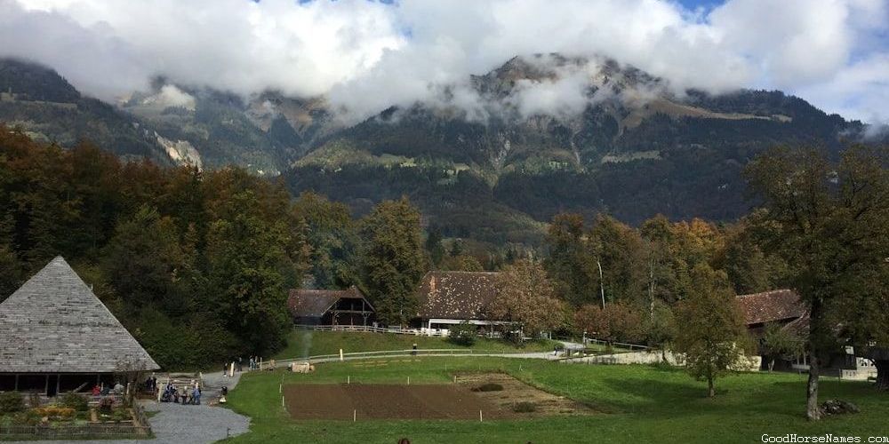 Autumn Horse Names Inspired by Nature