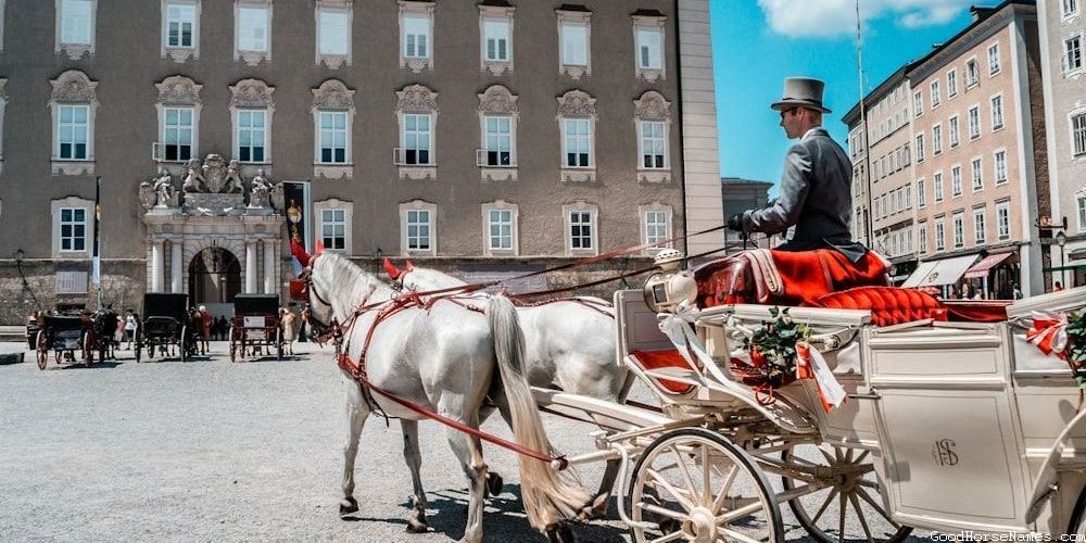 Autumn Horse Popular Names