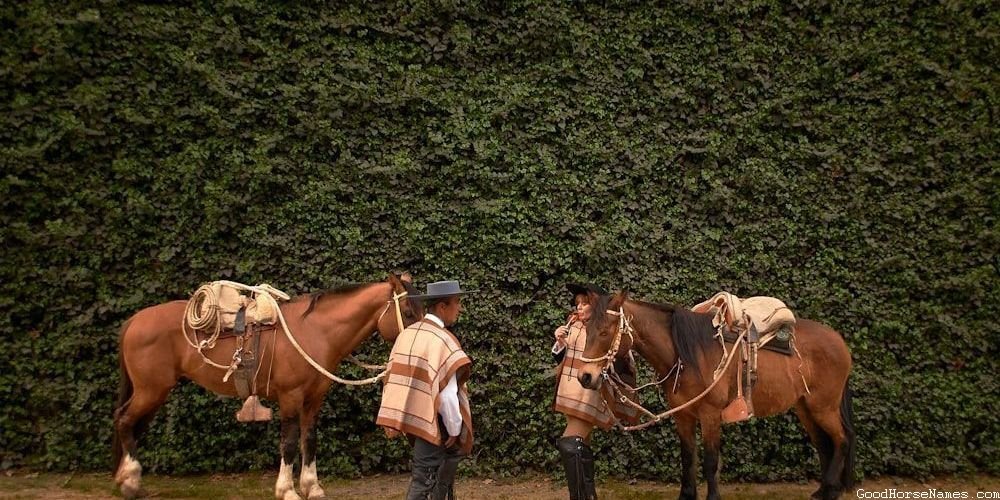 Awesome Black Horse Fierce Names