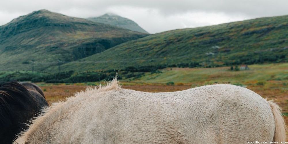 Awesome Mythical Horse Names