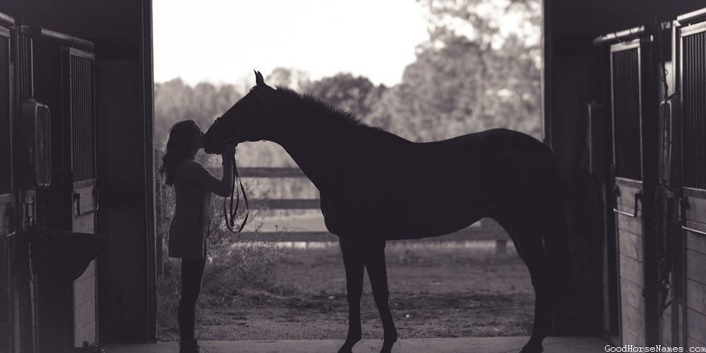 Baby Girl Horse Powerful Names