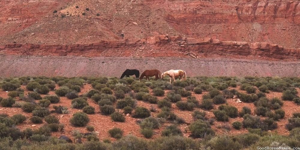 Badass Boy Horse Location Inspired Names