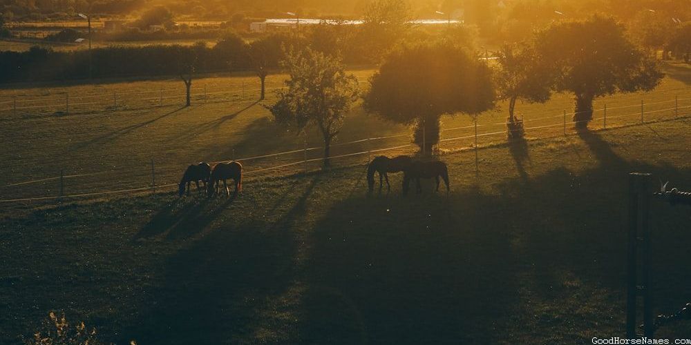 Badass Female Horse Mythical Names