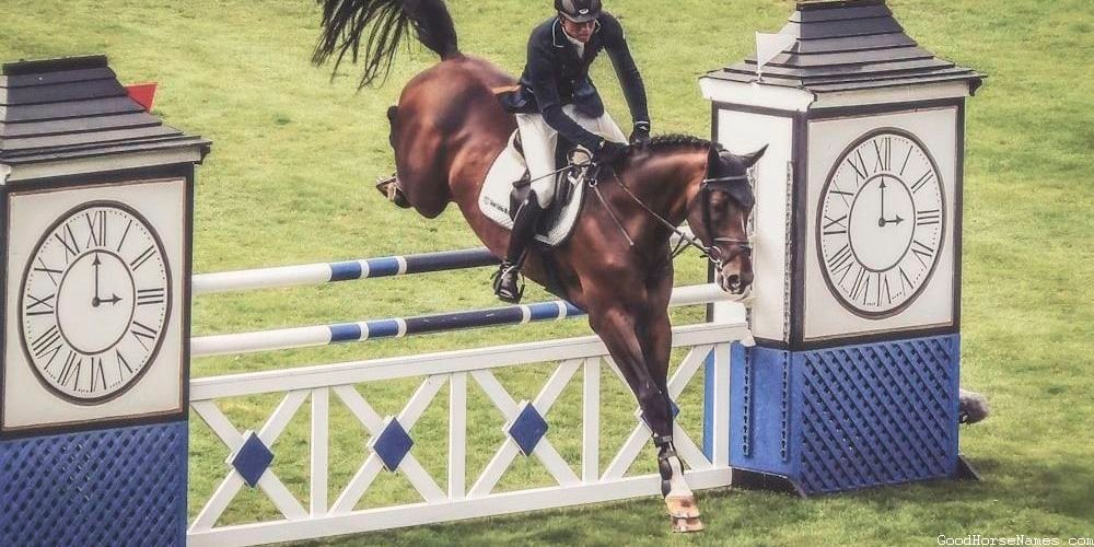 Badass Mustang Horse Personality Inspired Names