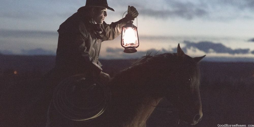 Beautiful Horse Names Inspired by Personality