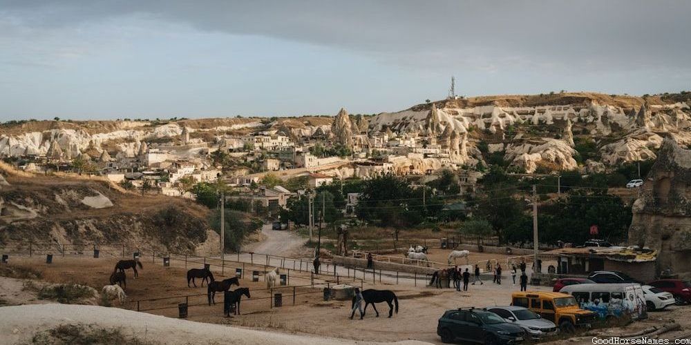 Black Pinto Horse Elegant Names