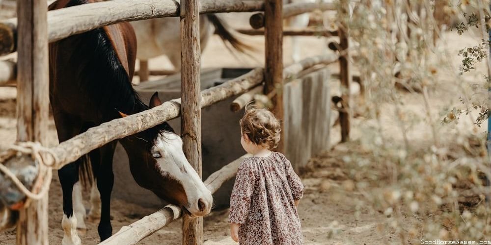 Black Stallion Powerful Horse Names