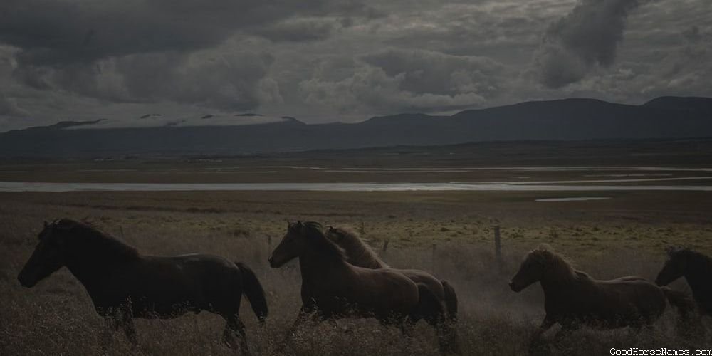 Blue Horse Ancient Names