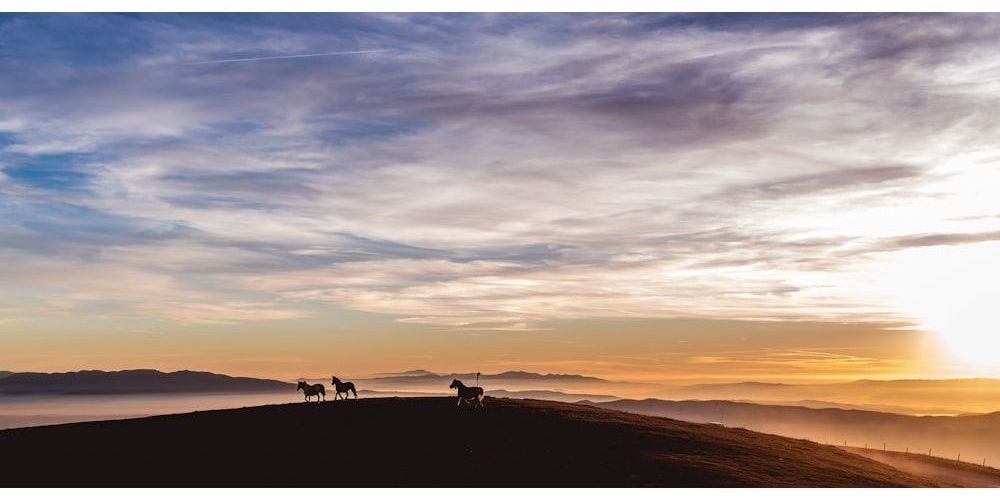 British Horse Nature Inspired Names