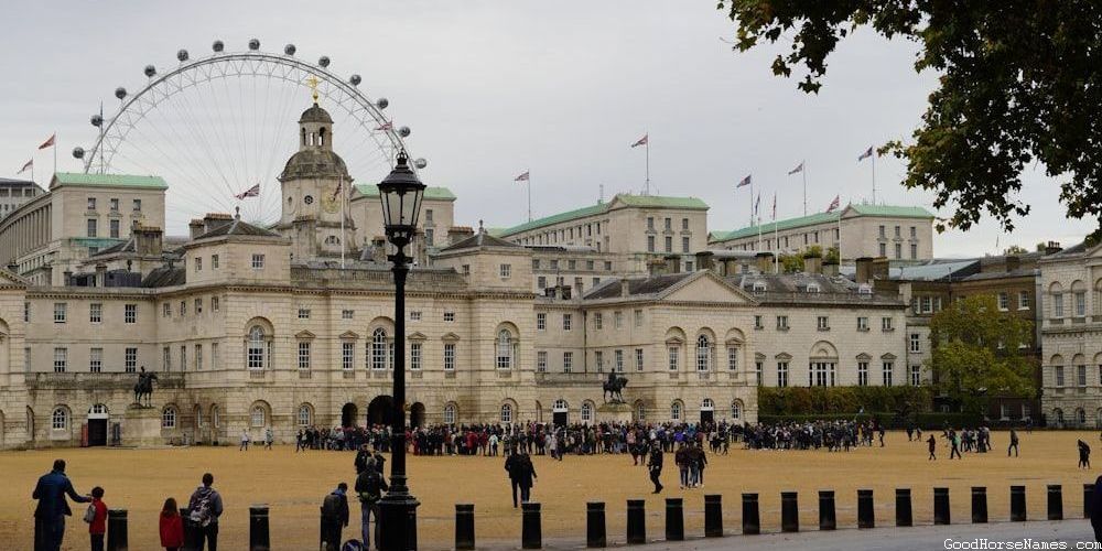 Brown Horse Show Powerful Names
