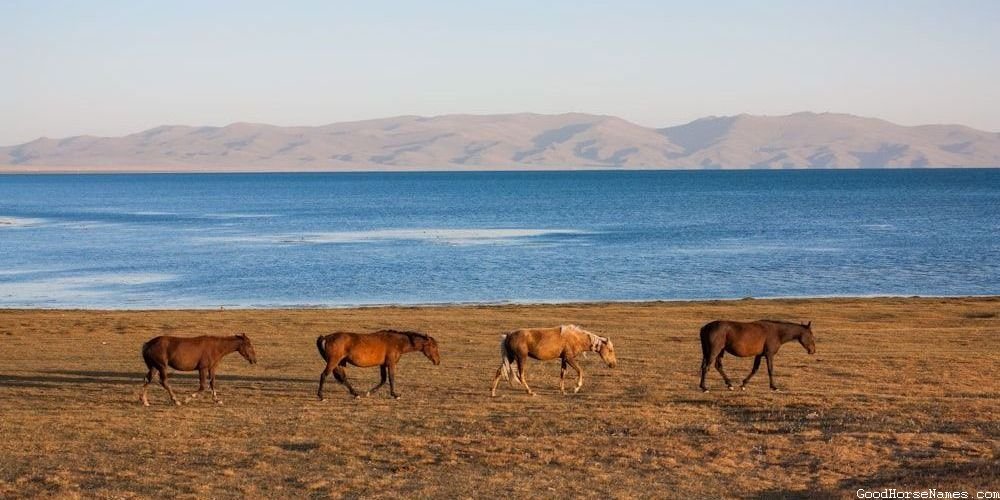 Car Themed Horse Personality Inspired Names