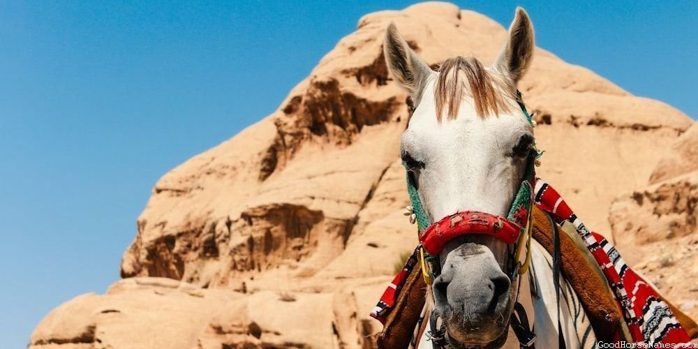 Car Themed Horse