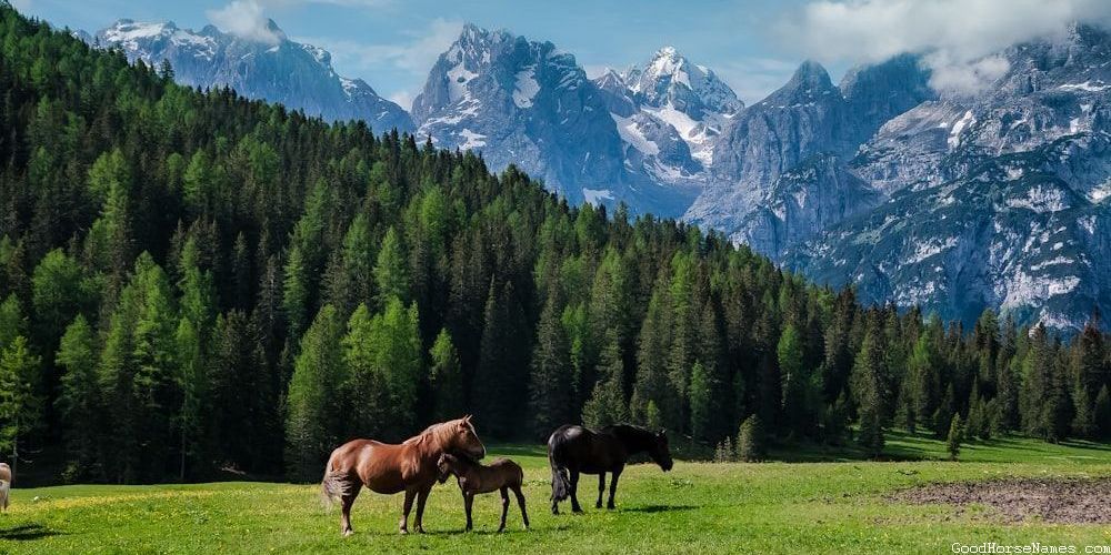 Celtic Horse Royal Names