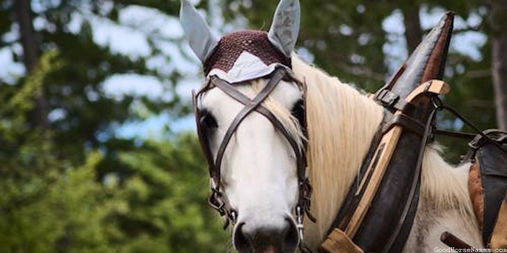 Chinese Horse Cute Names
