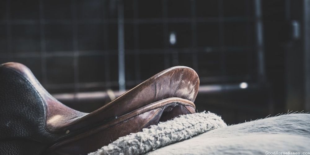 Chocolate Roan Horse Regal Names