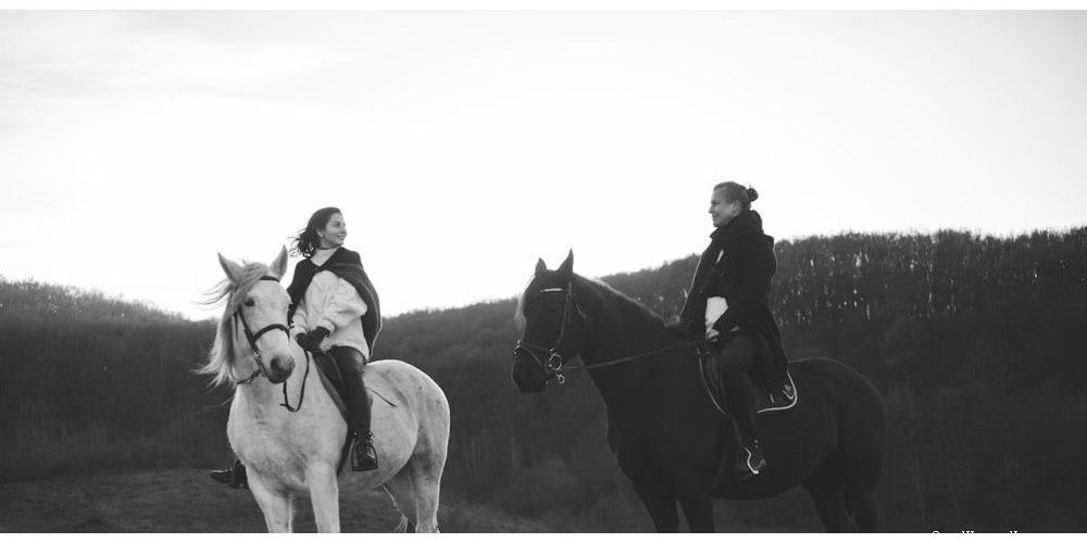 Cool Black Horse Funny Names