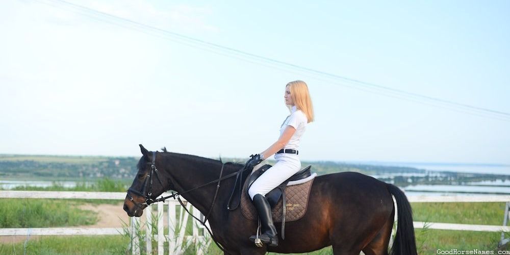 Cool Cowboy Race Horse Names