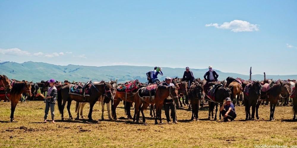 Cool Female Popular Horse Names