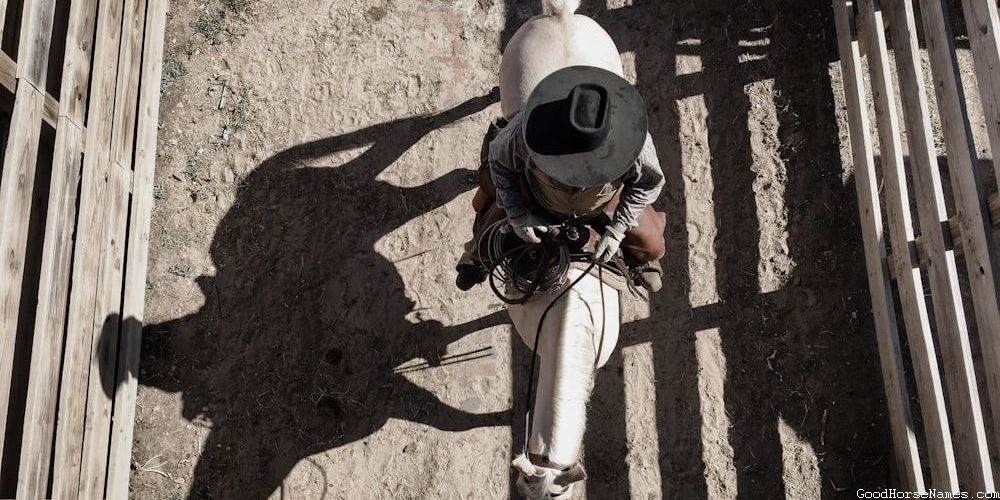 Cool Medieval Horse Names