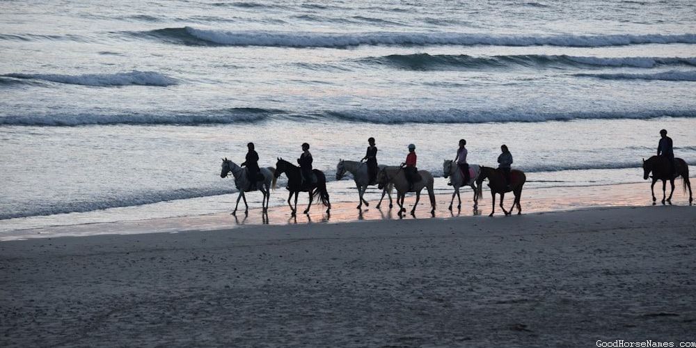 Country Horse Popular Names