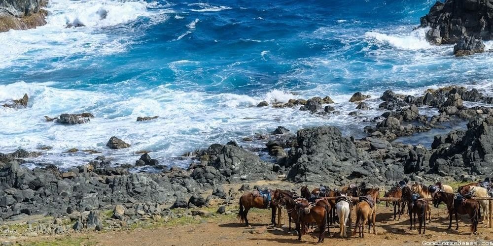 Cowboy Horse Popular Names
