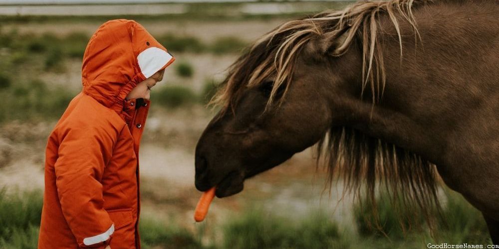 Cowgirl Horse Powerful Names