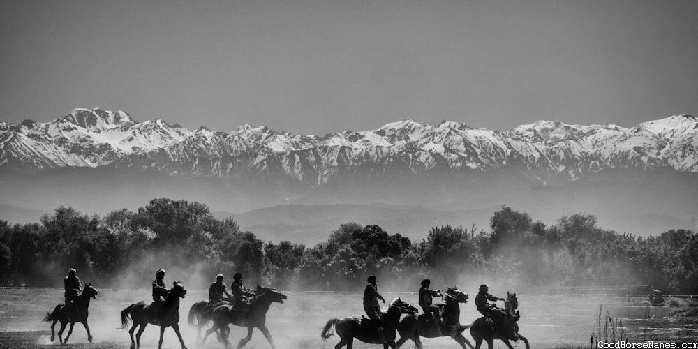Cremello Horse Popular Names