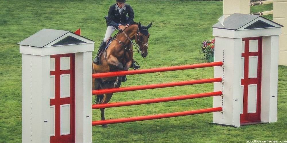 Cute Baby Horse Powerful Names