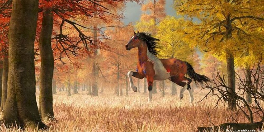 Cute Chestnut Horse Popular Names