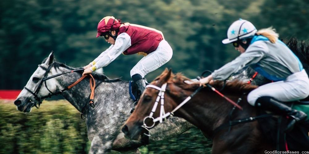 Cute Horse Show Powerful Names