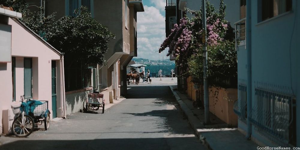 Cute Horse Show Unique Names