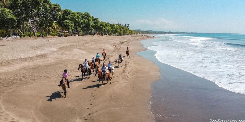Emotions Inspired Cool Female Horse Names