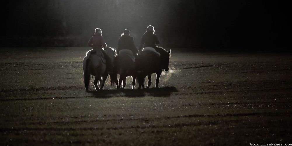 Human Names Inspired Brown Horse Show Names