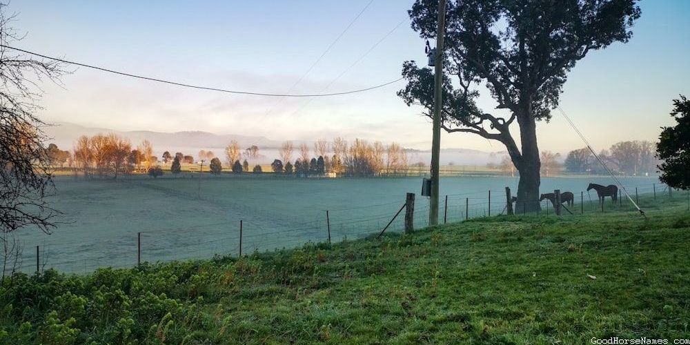 Inspired by Horse Characteristics