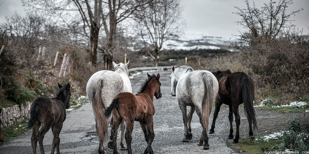 Inspired by Mythology