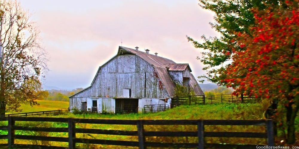 Literature Inspired Christmas Horse Names