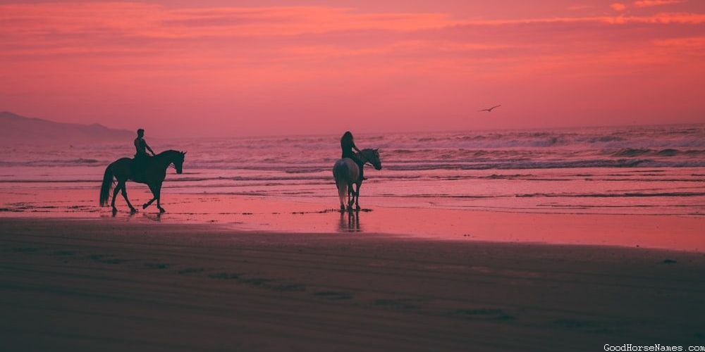 Literature Inspired Cool Cowboy Horse Names
