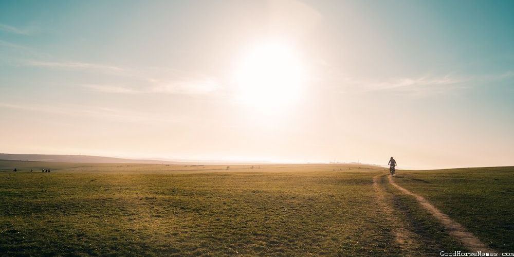 Literature Inspired Cool Horse Names