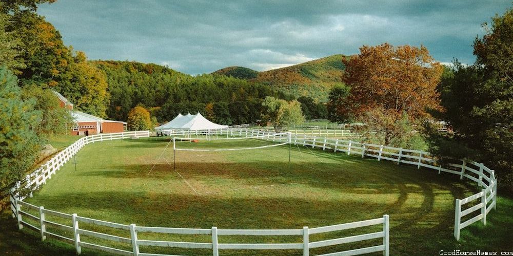 Location Inspired Cremello Horse Names