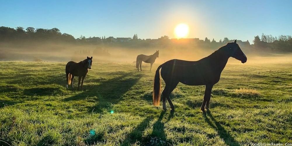 Male Royal Horse Powerful Names