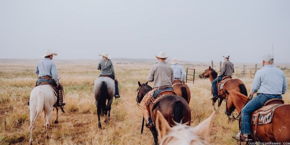 Masculine And Manly Horse Names That Represent Their Loyalty