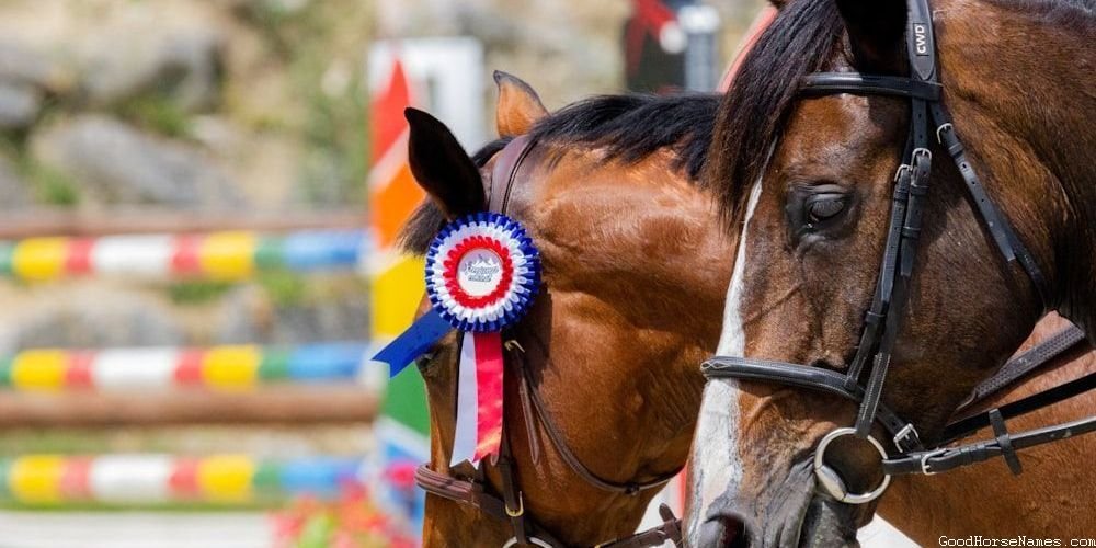 Mythical Barrel Horse Names for Geldings