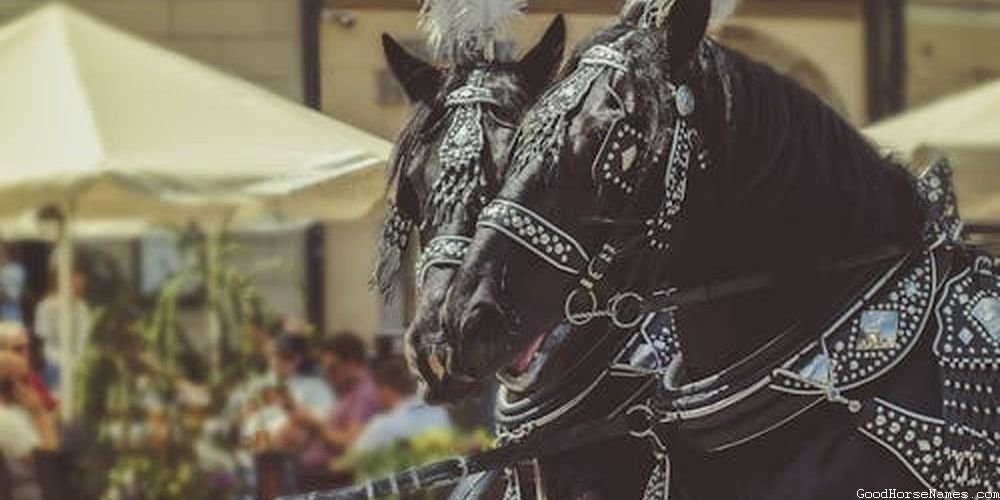 Mythical White Horse Names Inspired by Locations