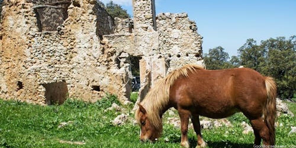 Mythical White Horse Names That are Puns