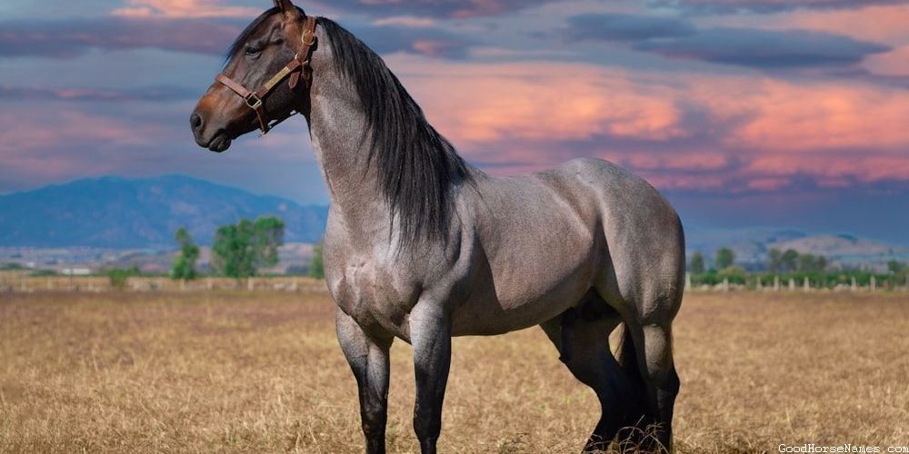 Names for Ginger Horses Inspired by Pop Culture