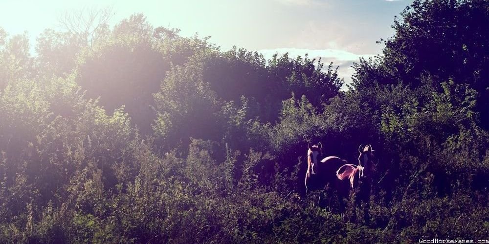 Nature Inspired Badass Female Horse Names