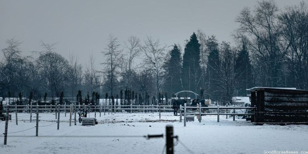 Nature Inspired Cajun Horse Names