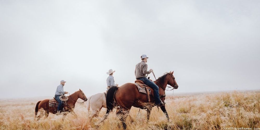 Nature Inspired Carousel Horse Names