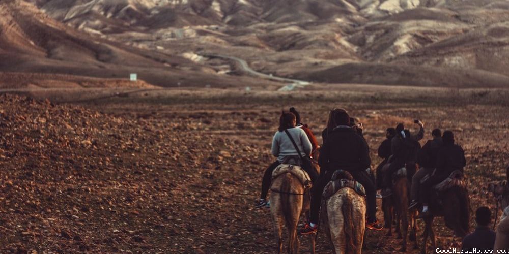 Nature Inspired Classic Horse Names