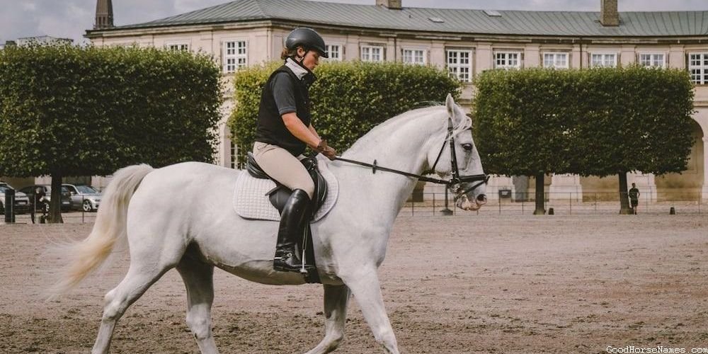 One Syllable Horse Powerful Names